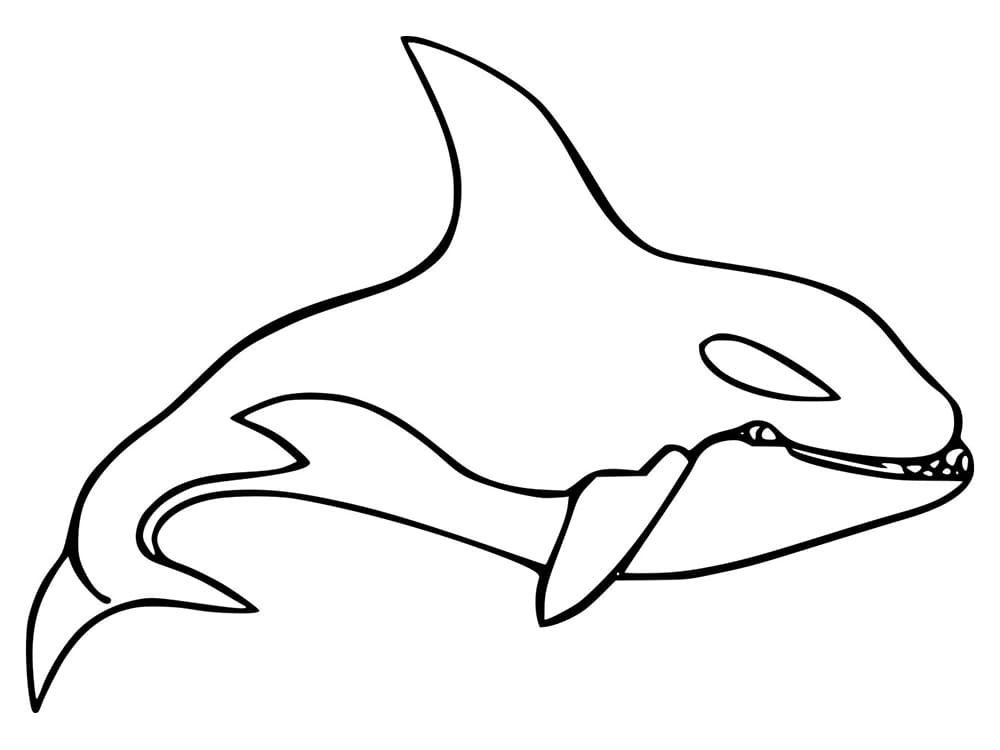 Simple Orca