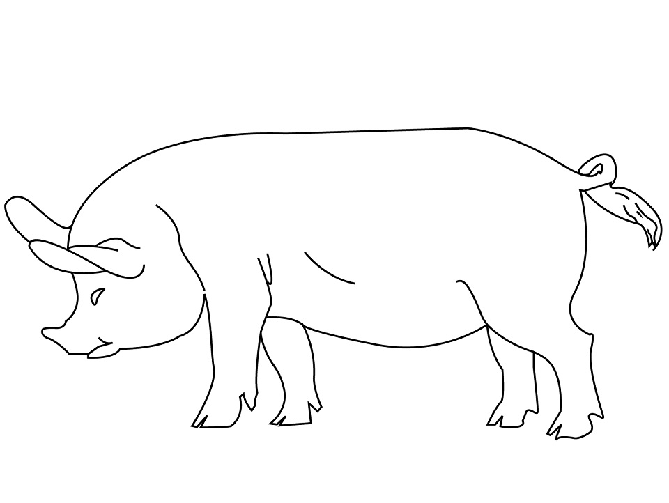 Simple Pig Coloring Game Simple Pig