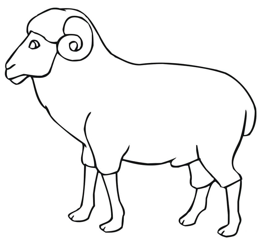 Simple Ram