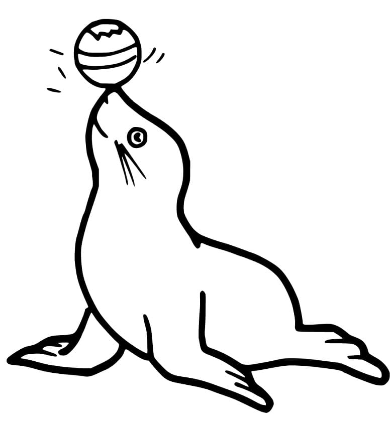 Simple Sea Lion with Ball Coloring Game Simple Sea Lion with Ball