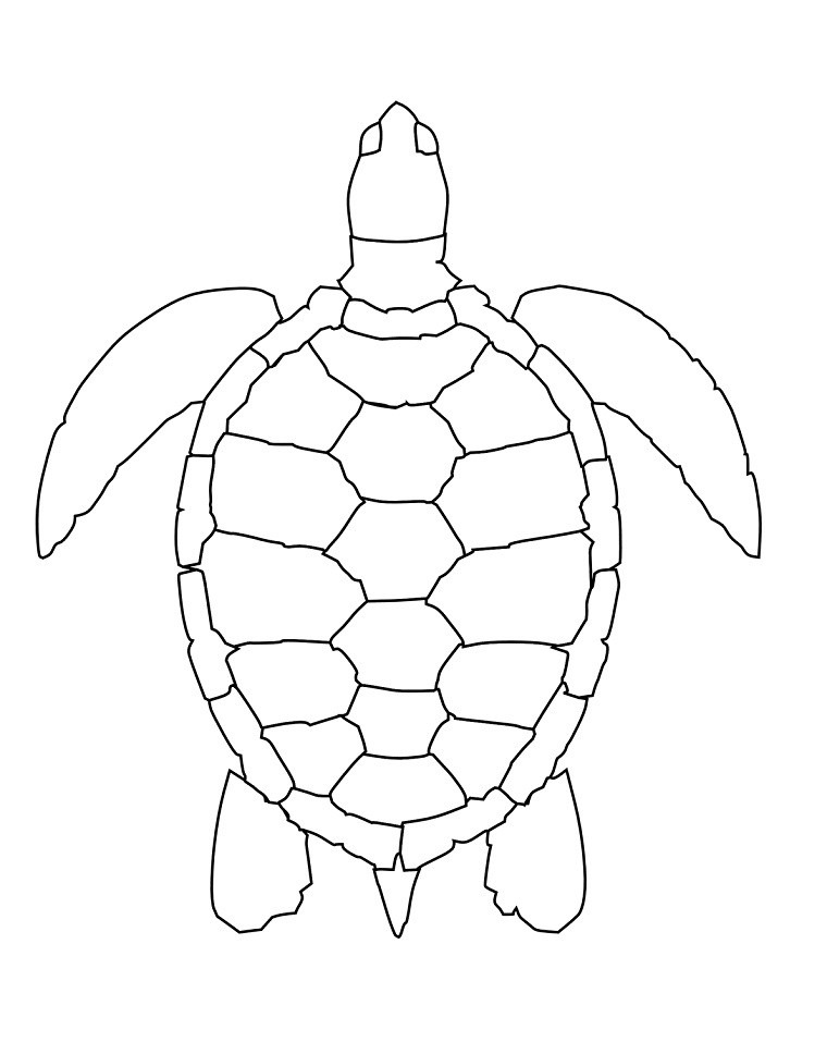 Simple Sea Turtle Coloring Game Simple Sea Turtle