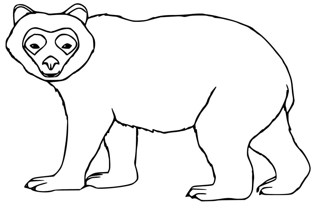 Simple Spectacled Bear Coloring Game Simple Spectacled Bear