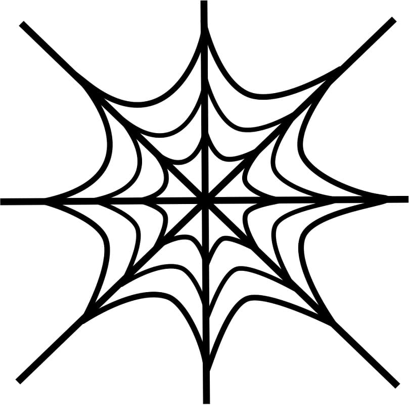 Simple Spider Web