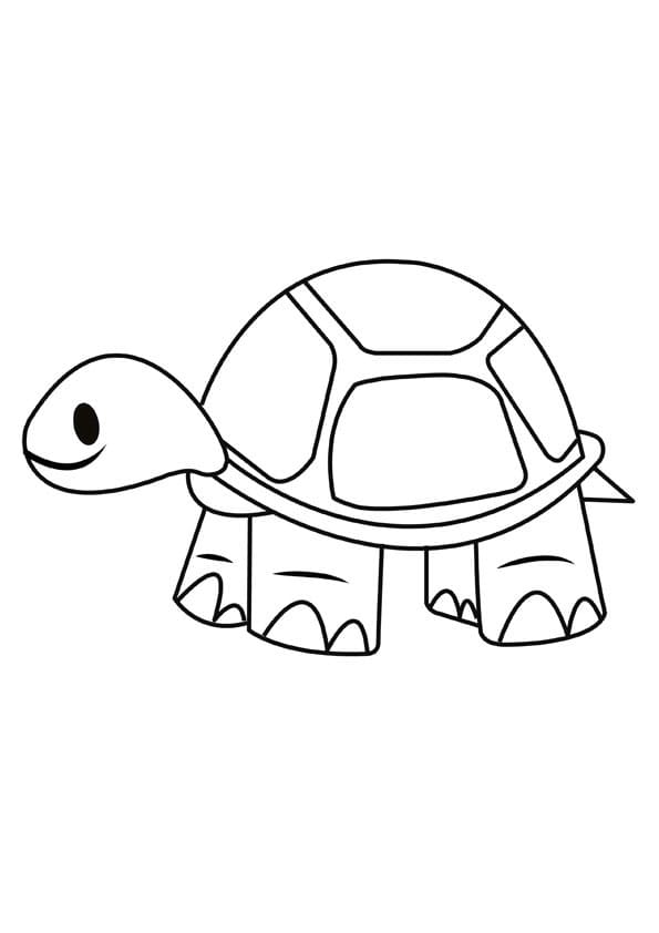 Simple Turtle Coloring Game Simple Turtle
