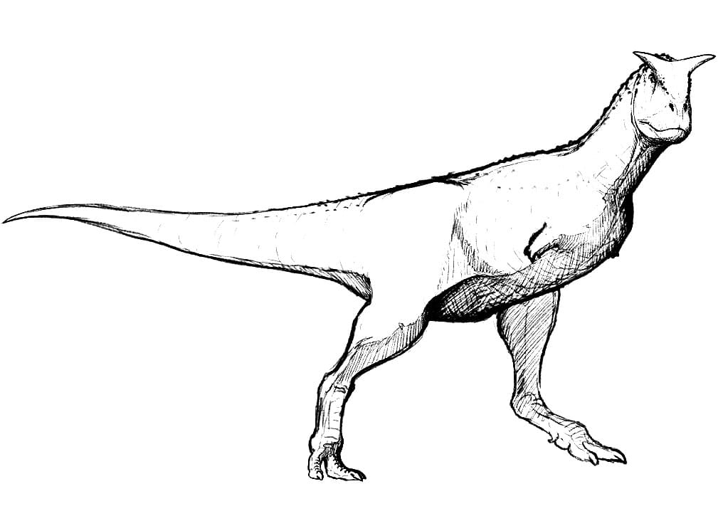 Sketch Carnotaurus