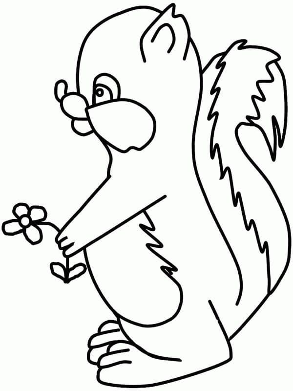 Skunk Printable Coloring - Play Free Coloring Game Online
