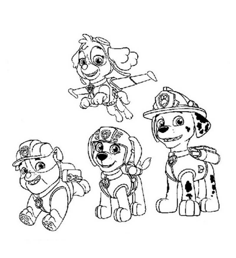 Skye Paw Patrol 15
