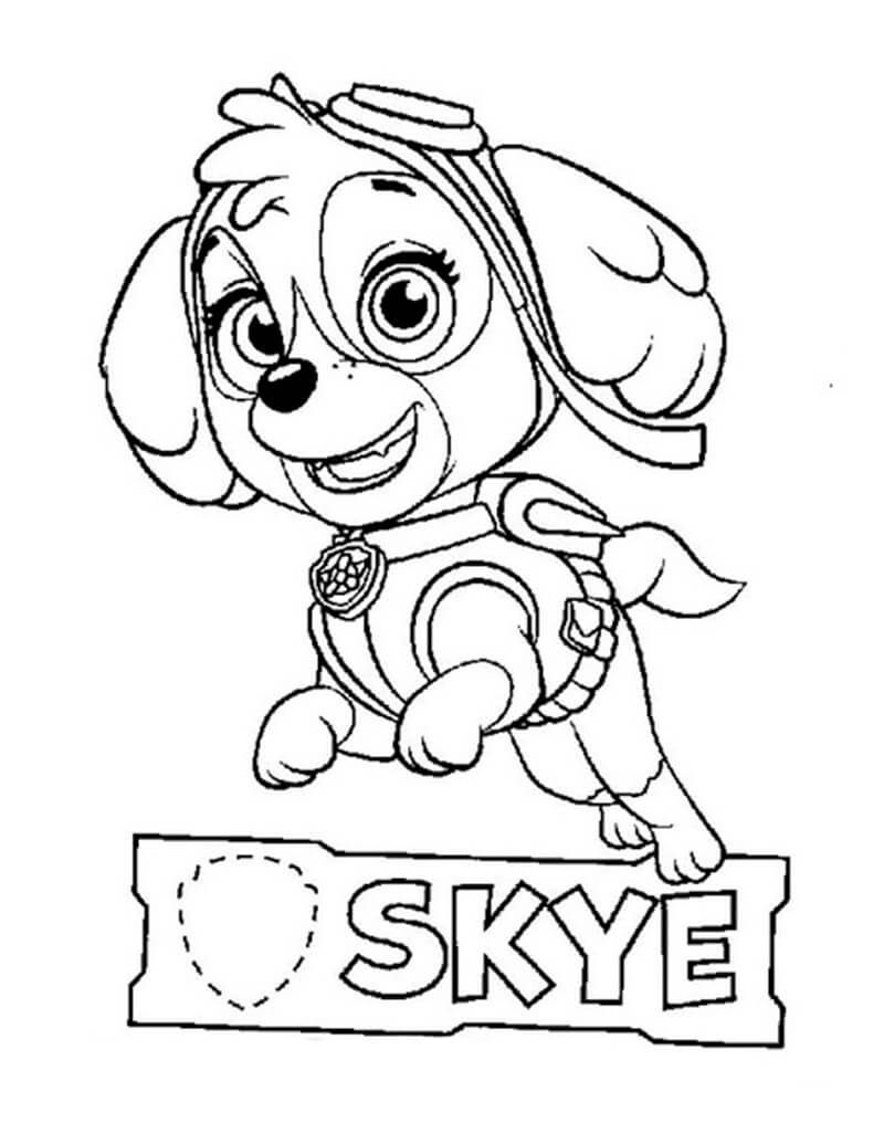 Skye Paw Patrol 16