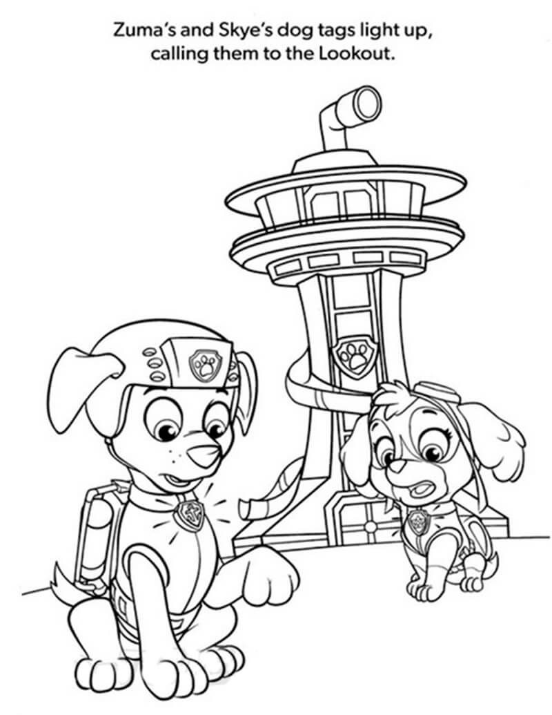 Skye Paw Patrol 29