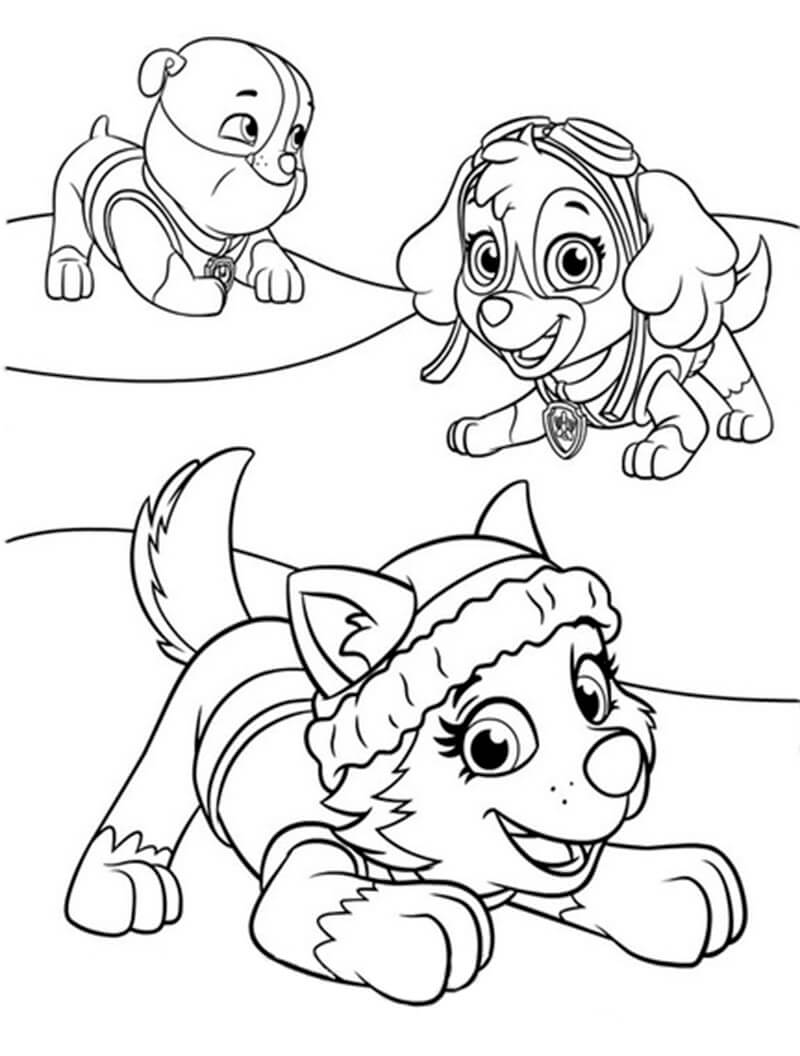 Skye Paw Patrol 3