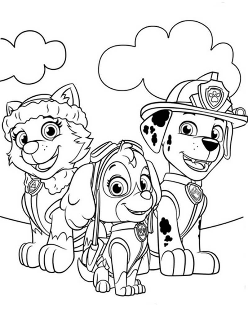 Skye Paw Patrol 4
