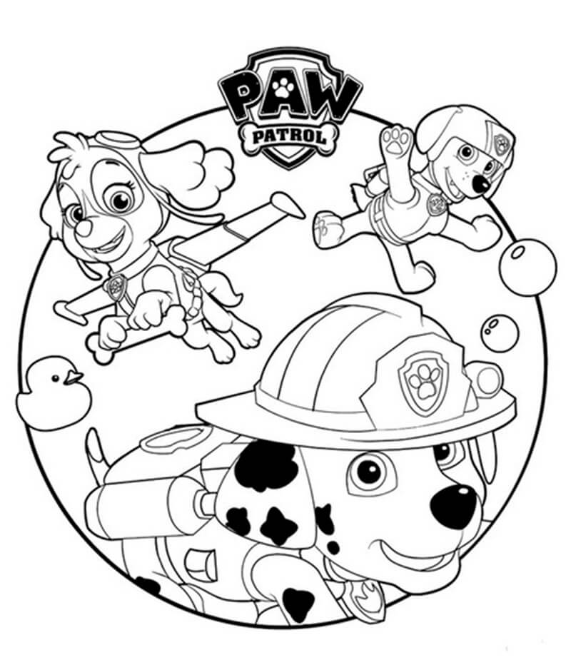 Skye Paw Patrol 5