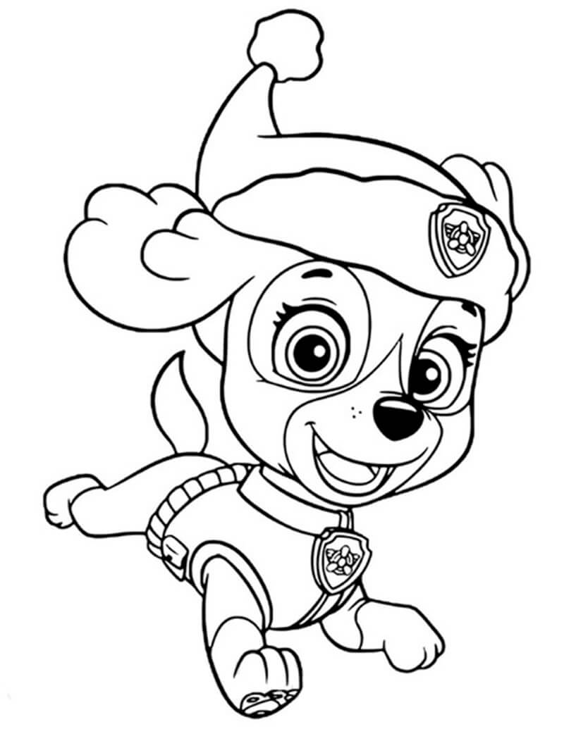 Skye Paw Patrol 6