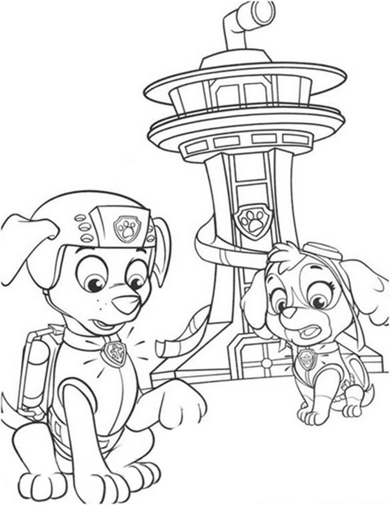 Skye Paw Patrol 8