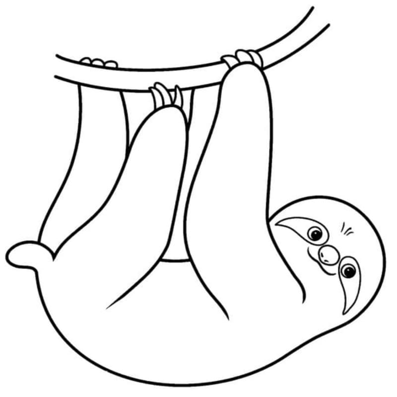 Sloth Easy
