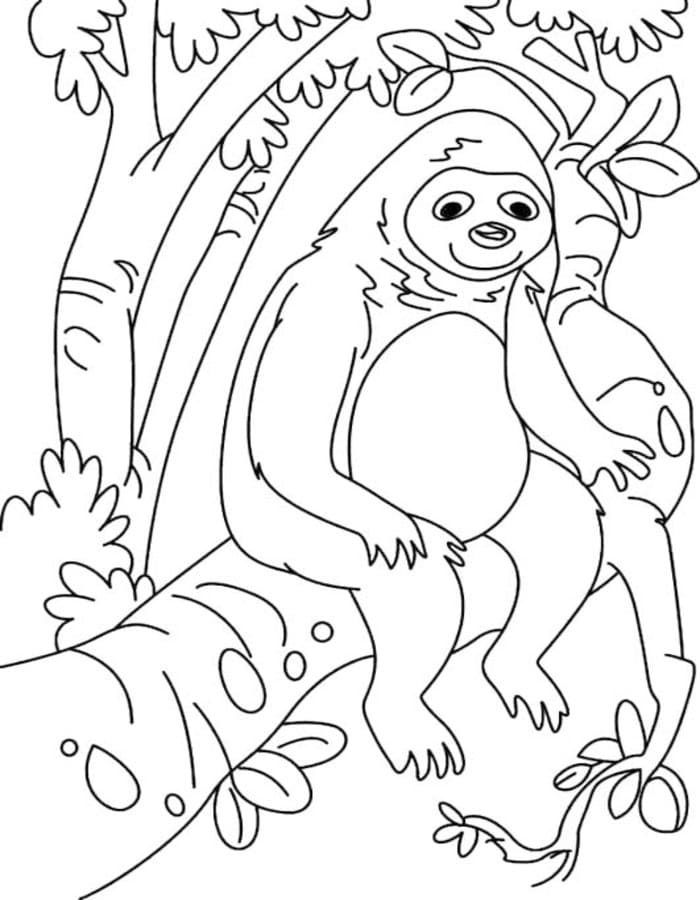 Sloth Free Printable
