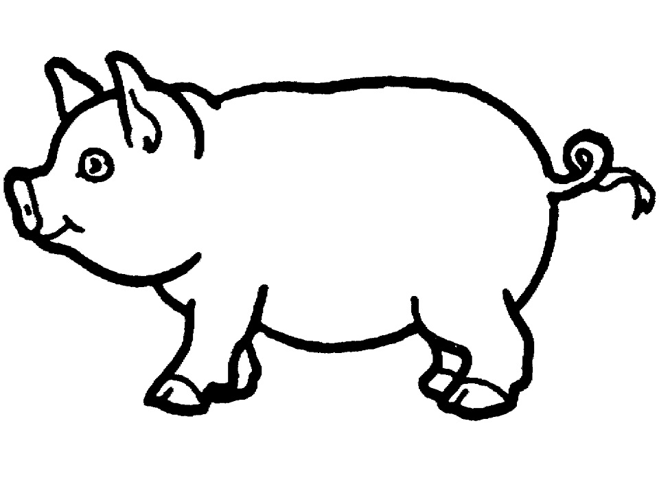 Small Pig Coloring Game Small Pig