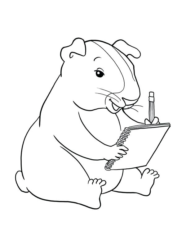 Smart Guinea Pig Coloring Game Smart Guinea Pig