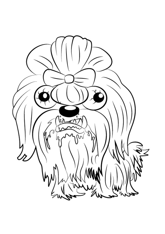 Smelly Shihtzu Ugglys Pet Shop