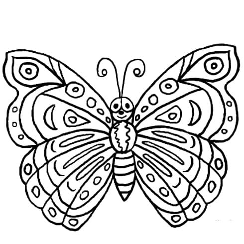 Butterfly