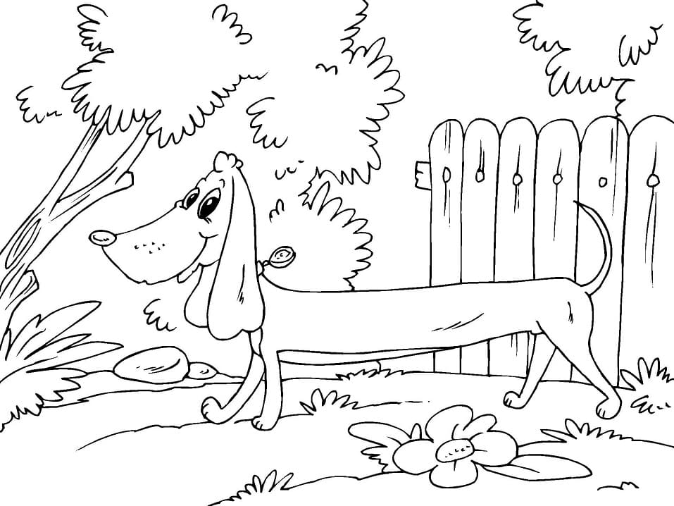 Smiling Dachshund Coloring Game Smiling Dachshund