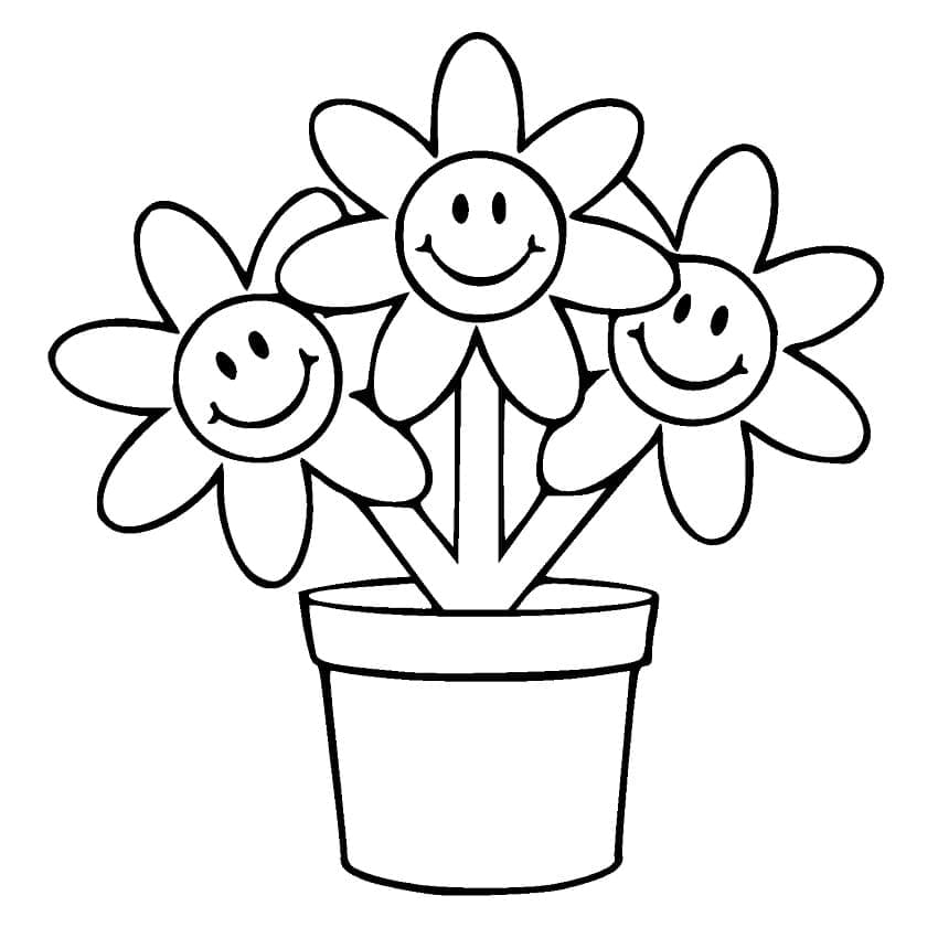 Smiling Flower Pot