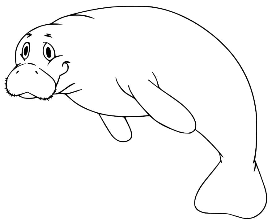Smiling Manatee