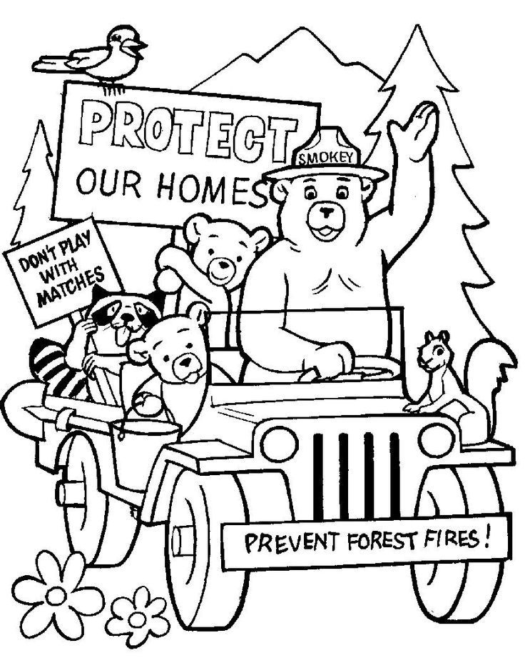 Smokey Bear and Friends