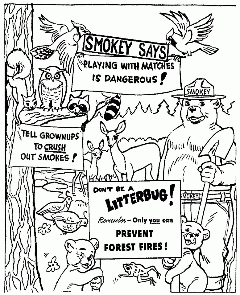 Smokey Bear 3