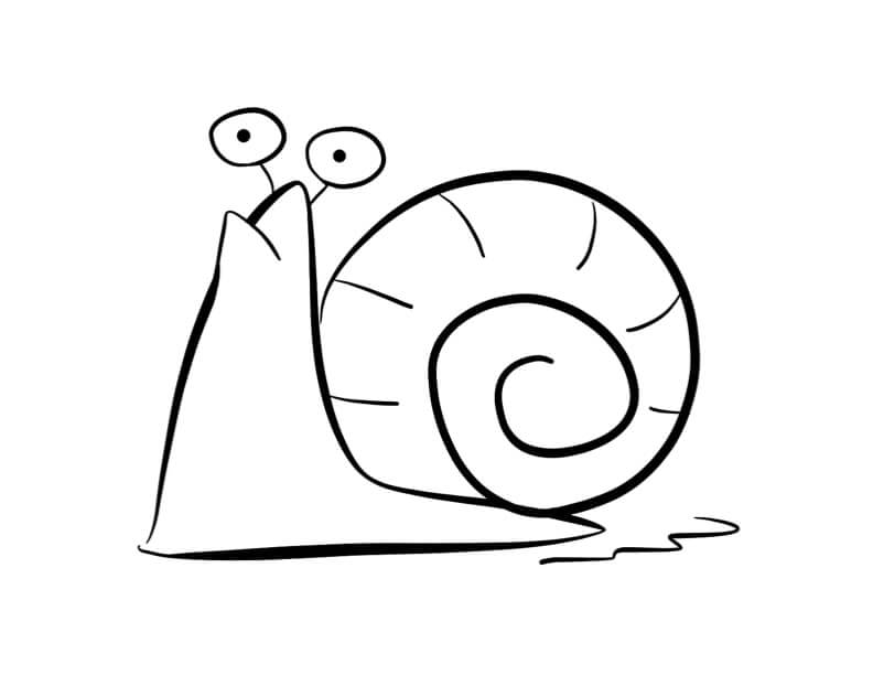 Snail 1