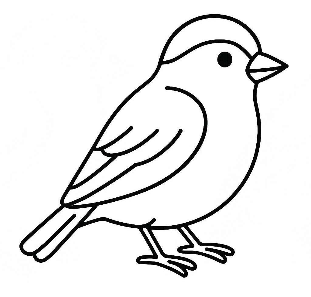 Sparrow Basic