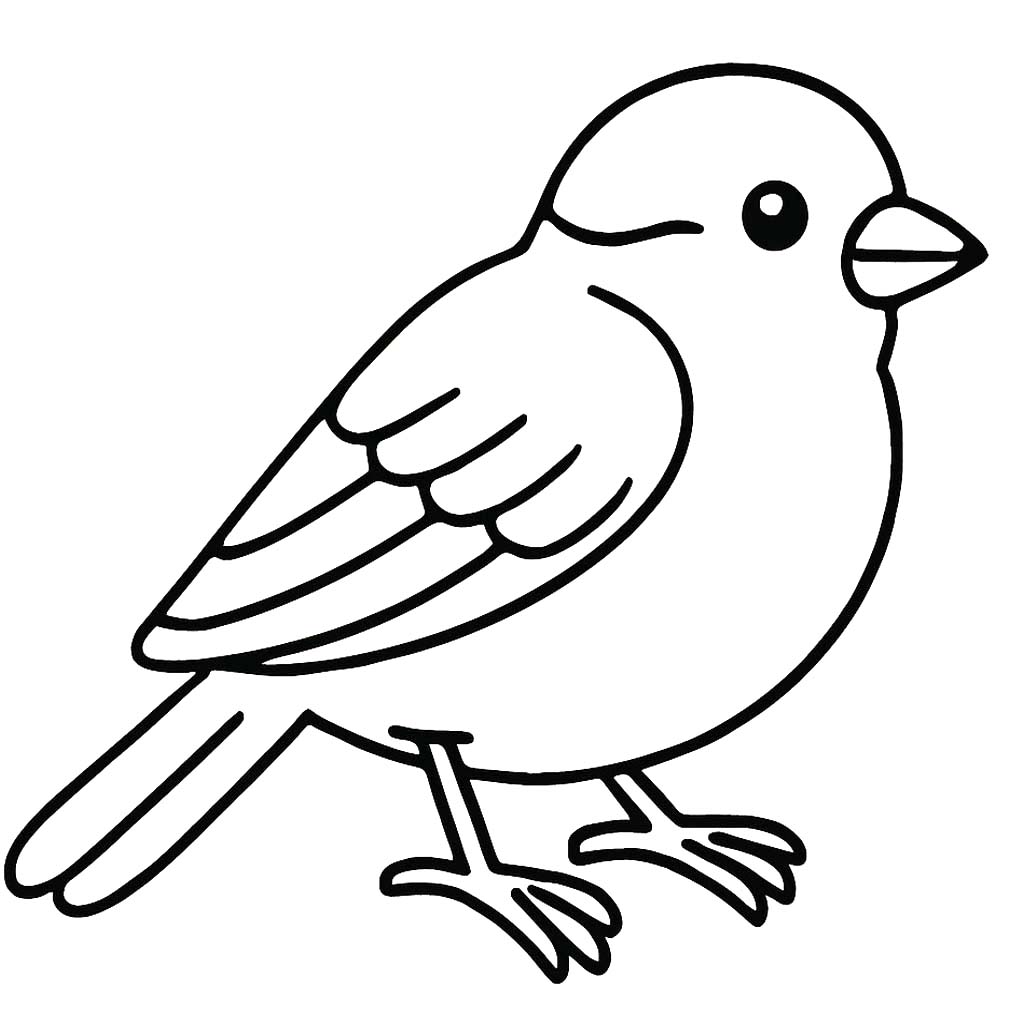 Sparrow Easy