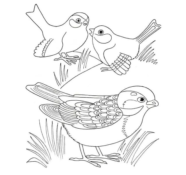 Sparrow Free Printable