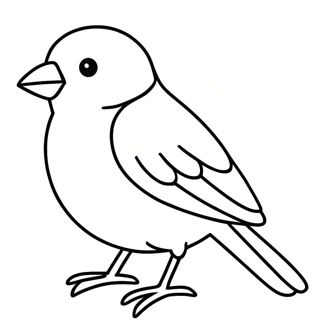 Sparrow Free
