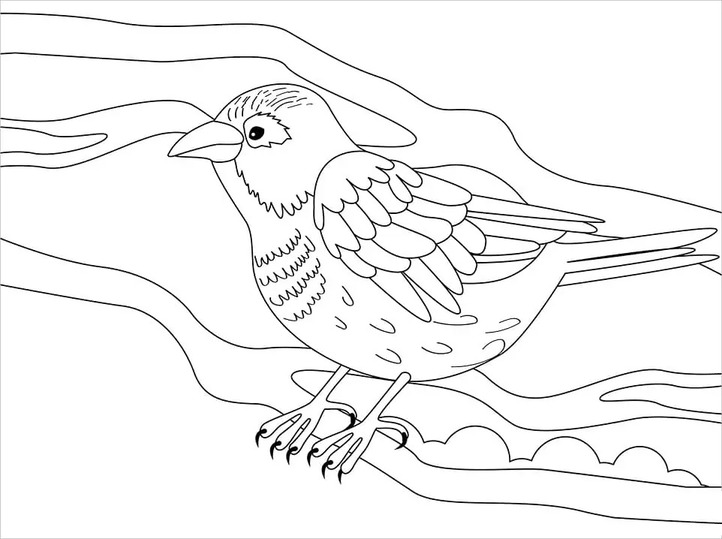 Sparrow Simple
