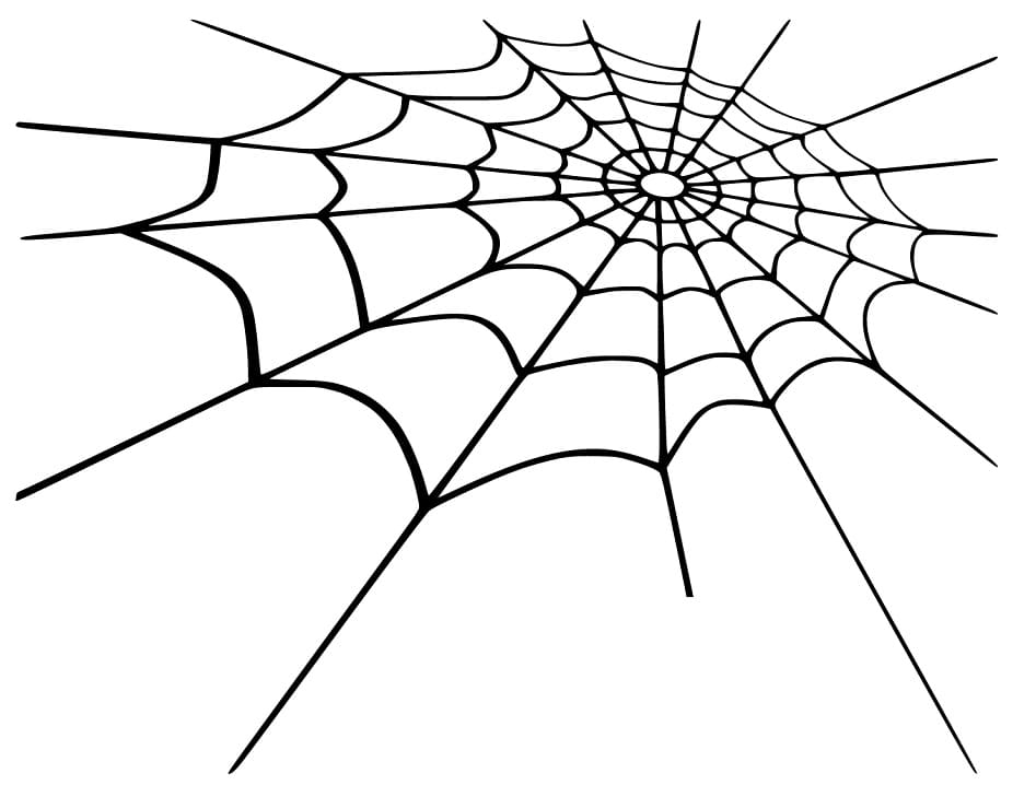 Spider Web 1