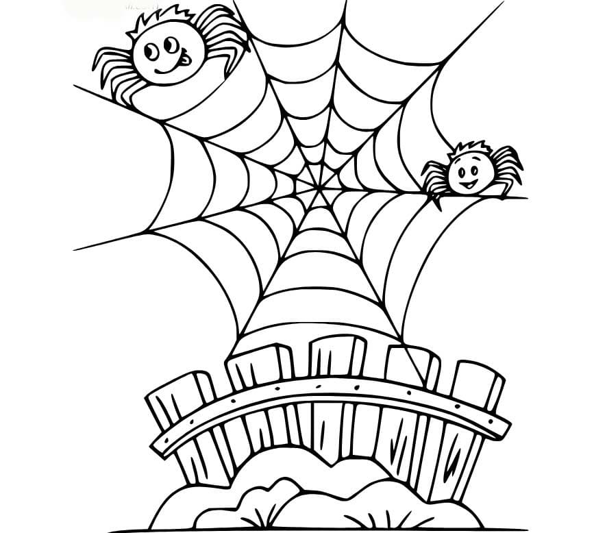 Spider Web Free