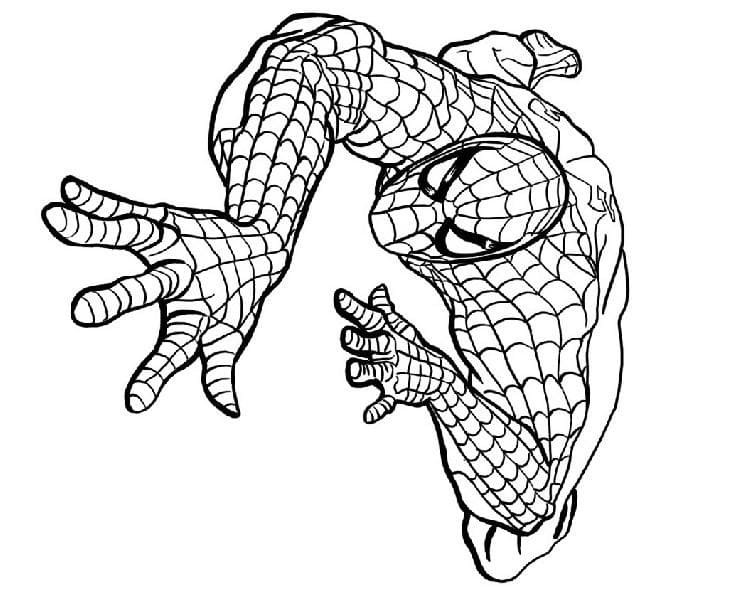 Spiderman Climbs Coloring Game Spiderman Climbs