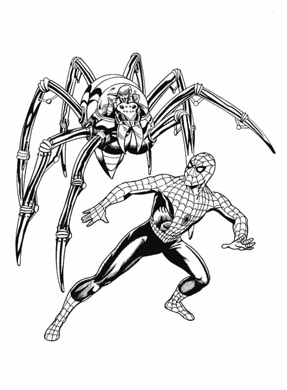 Spiderman and Spider Coloring Game Spiderman and Spider
