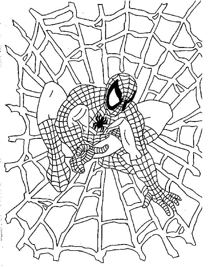 Spiderman and Web Coloring Game Spiderman and Web