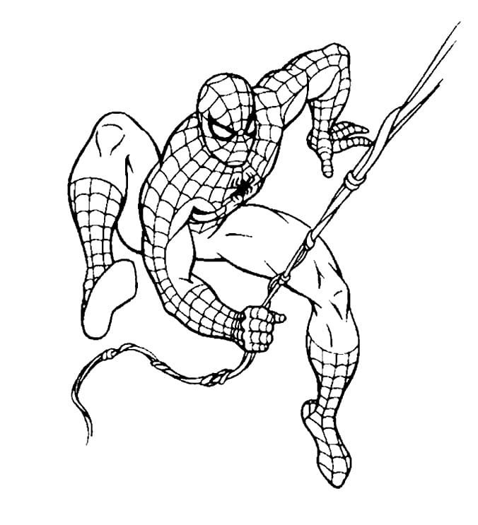Spiderman for Boy Coloring Game Spiderman for Boy