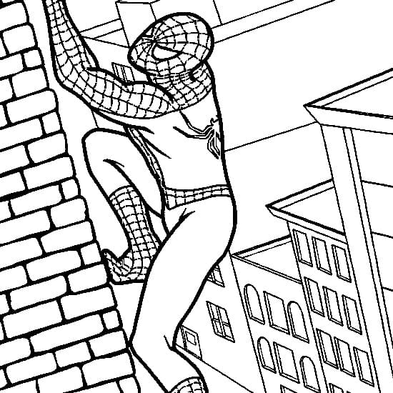 Spiderman for Boys Coloring Game Spiderman for Boys