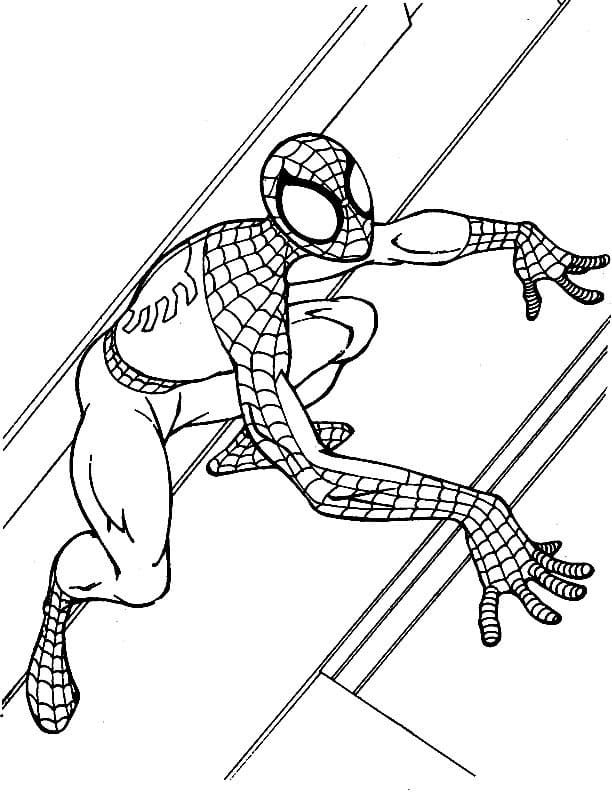 Spiderman is Climbing Coloring Game Spiderman is Climbing