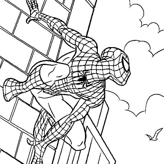 Spiderman is Watching Coloring Game Spiderman is Watching