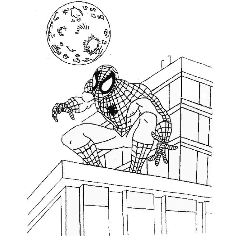 Spiderman on Building Coloring Game Spiderman on Building