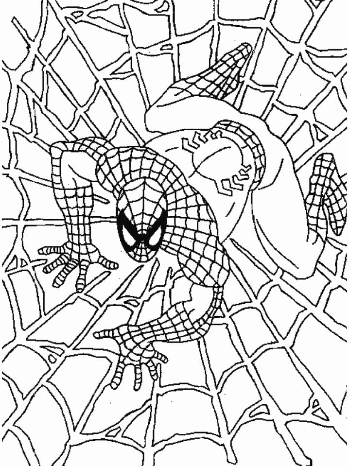 Spiderman on Spider Web Coloring Game Spiderman on Spider Web