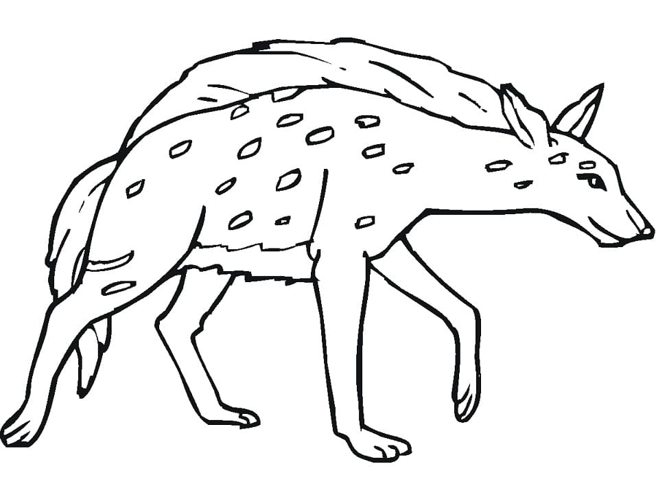Spotted Hyena 3 Coloring Game Spotted Hyena 3