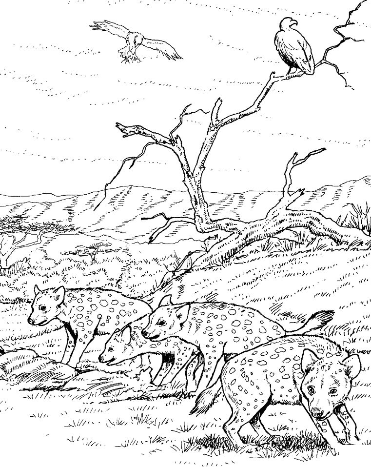Spotted Hyenas Clan Coloring Game Spotted Hyenas Clan