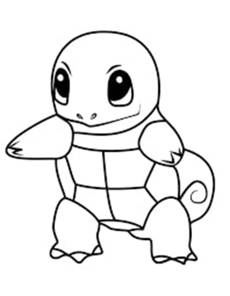 Squirtle 3