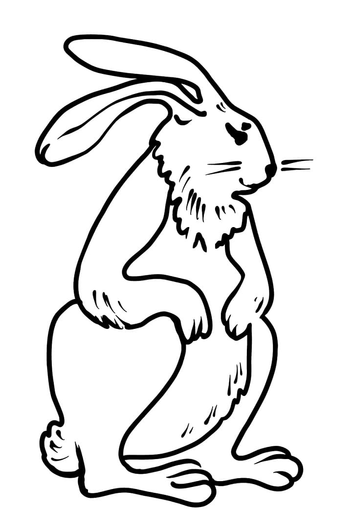 Standing Rabbit